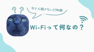 Wi-Fiって何？今さら聞けないIT知識を解説！